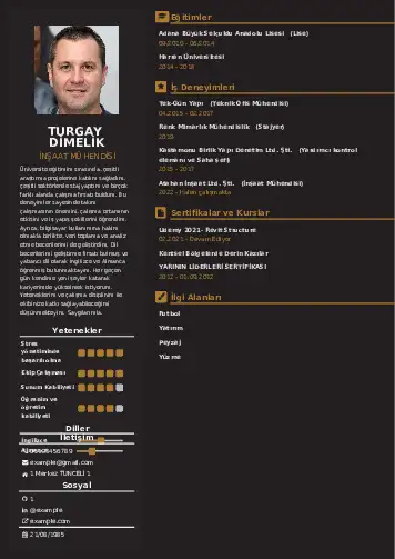 cv indir